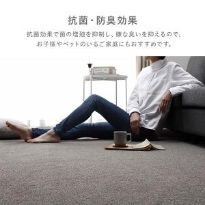ラグ カーペット 江戸間6帖 約261×352...の詳細画像4