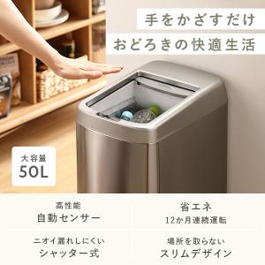 ゴミ箱 ダストボックス 約幅25cm 50L ...の詳細画像1