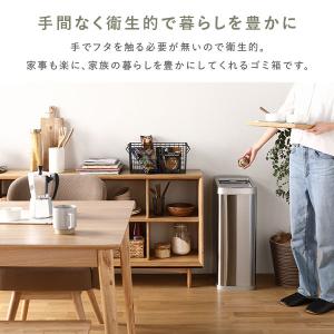 ゴミ箱 ダストボックス 約幅25cm 50L ...の詳細画像2