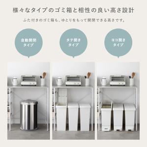 レンジラック カウンタータイプ 幅120cm ...の詳細画像5