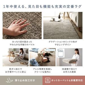 ミックスパイル ラグ 約130×190cm 洗...の詳細画像3