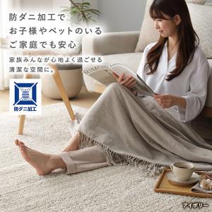 ミックスパイル ラグ 約130×190cm 洗...の詳細画像5