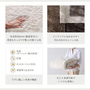 高密度シャギーラグ 約190×240cm 抗菌...の詳細画像4