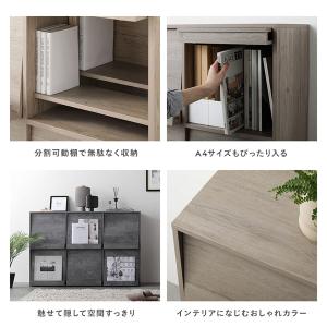 ディスプレイラック 2枚扉 分割可動棚付き 収...の詳細画像5