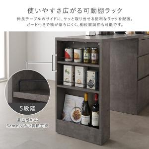 伸縮キッチンカウンター 収納棚Aタイプ(スライ...の詳細画像5