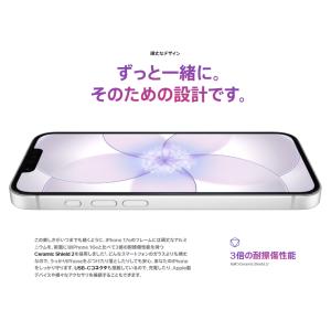 【国内版SIMフリー・新品未開封】 iPhon...の詳細画像3
