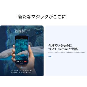 新品未開封/国内版SIMフリー Google ...の詳細画像4