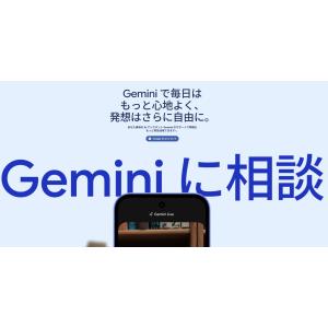 新品未開封/国内版SIMフリー Google ...の詳細画像4