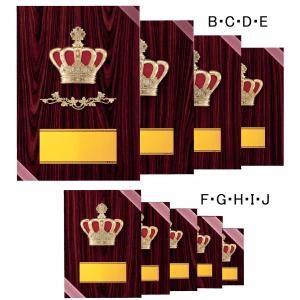 非売品 嵐 盾 楯 嵐 非売品 盾 楯