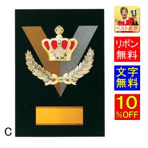 盾【文字無料】高さ300ｍｍ【記念品】表彰楯(盾)　盾　表彰　トロフィー　記念品 卒業記念品　功労　殊勲　技能 優秀賞　最優秀賞　最優秀選手賞　D034-C