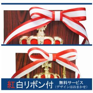 盾【文字無料】高さ300mm【記念品】表彰楯(...の詳細画像2