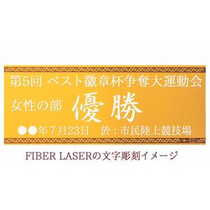 盾【文字無料】高さ300mm【記念品】表彰楯(...の詳細画像5