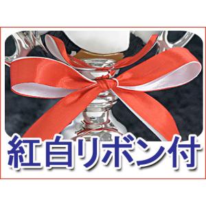優勝カップ【文字無料】金属製優勝カップ 高さ1...の詳細画像5