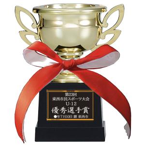 優勝カップ 文字無料 高さ110mm 樹脂製 ...の詳細画像5