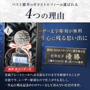 トロフィー ガラス 40%OFF 12.5cm...の詳細画像5