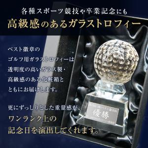 トロフィー ガラス 40%OFF 文字無料 ガ...の詳細画像2