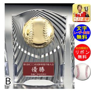 盾 野球 高さ160ｍｍ 文字無料 表彰楯 （樹脂製）野球 ベースボール 最優秀選手賞 MVP ゴールデングラブ 首位打者 本塁打王 盗塁王 打点王 W-CCL5569-7-B｜best