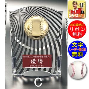 野球 盾 文字無料 高さ140ｍｍ 表彰楯 （樹脂製）野球　ベースボール　最優秀選手賞　MVP　ゴールデングラブ　首位打者　打率　盗塁王　打点王 W-CCL5569-7-C｜best