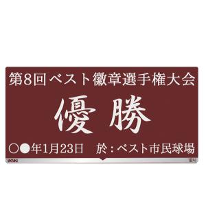優勝カップ【文字彫刻無料】【樹脂製】大きくてお...の詳細画像2