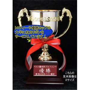 優勝カップ 文字無料 高さ245mm 樹脂製 ...の詳細画像2