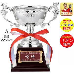 優勝カップ●高さ225ｍｍ銀（シルバー）金属製�
