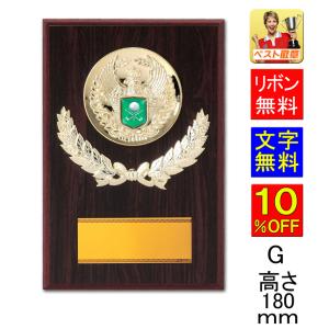盾 楯 文字彫刻無料 ○高さ300mm 盾 表彰 トロフィー 記念 卒業記念