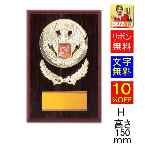 盾 文字無料 20％OFF 高さ260mm 記念品 盾.表彰.優勝カップ
