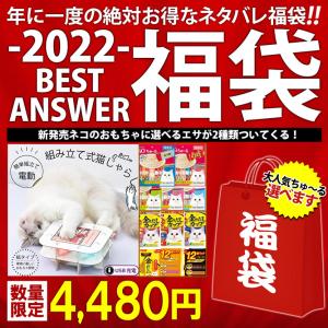 福袋 2022 年 猫 おもちゃ 猫じゃらし 電動 ねこじゃらし 選べるエサ いなばペットフード 金のだし CIAOちゅ〜る 送料無料｜bestanswe