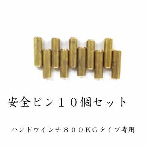 ハンドウインチ 800kg専用 安全ピン10個セット チルホール 万能携帯ハンドウィンチ 農機 機械移動 伐採 高品質 工具 道具 送料無料 ゆうパケット 爆買