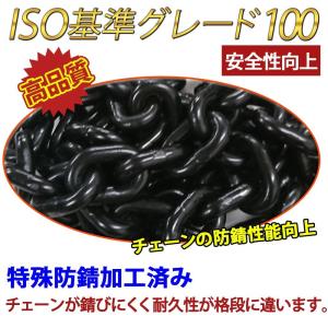レバーホイスト 1t 4台セット 1.5m 1...の詳細画像4