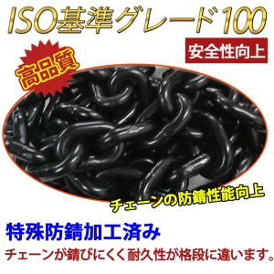 レバーホイスト 1t 1.5m 1000kg ...の詳細画像4