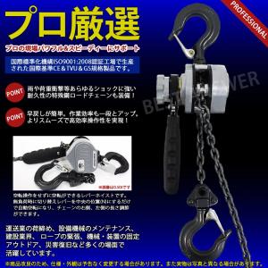レバーホイスト 250kg 0.25t 2台セ...の詳細画像1