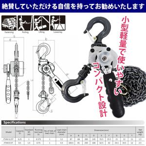 レバーホイスト 250kg 0.25t 2台セ...の詳細画像4