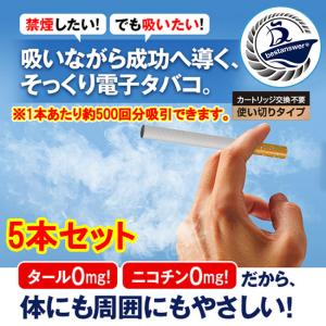 禁煙グッズ 電子タバコ お手軽 禁煙スティック2 5本入り 使い捨て 使いきり タバコ風味 送料無料