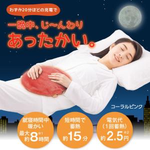 湯たんぽ 充電式 電気 ゆたんぽ 蓄熱式 あったか 冬 コードレス 防寒 冷え性 アウトドア 冬キャンプ 寝袋 あんか カイロ おしゃれ かわいい 送料無料