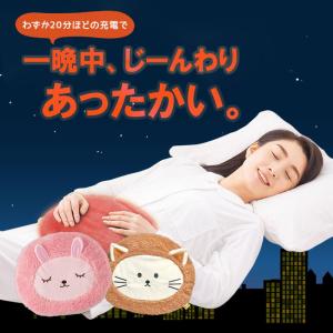 湯たんぽ 充電式 電気 ゆたんぽ 蓄熱式 あったか 冬 コードレス 防寒 冷え性 アウトドア 冬キャンプ 寝袋 あんか カイロ おしゃれ かわいい 送料無料