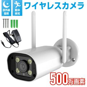 日本アンテナ HDワイヤレスセキュリティーカメラ 充電式モニターセット