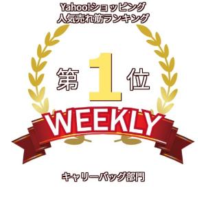 ペットキャリー リュック キャリーバッグ 猫 ...の詳細画像1