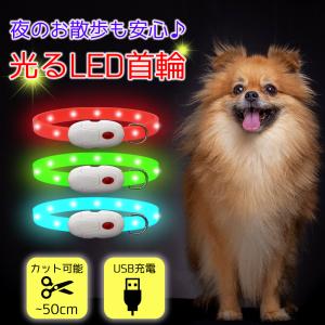 犬 首輪 選べる3色 くびわ くび輪 光る 明るい 目立つ 安全 安心 お散歩 夜間発光 暗い くらい 歩道 車道 自転車