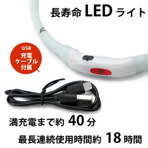 首輪 光る led ライト 犬 レインボー 夜...の詳細画像2