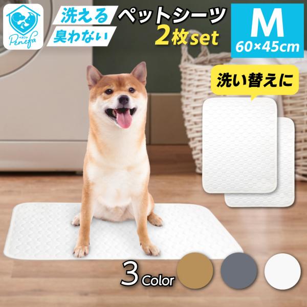 ペットシーツ 洗える 2枚セット Mサイズ 60×45cm レギュラー 犬 トイレマット トイレ下敷...