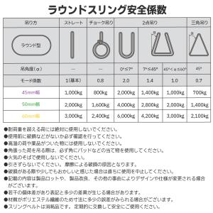 10本セット エンドレス スリング 2m 20...の詳細画像3