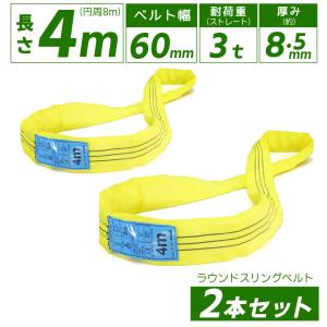 TESAC ブルースリング 50mm×2m(荷重2.0t) JIS4等級 両端アイタイプ