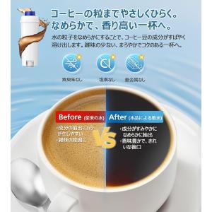【互換品】デロンギコーヒーマシン用 DeLon...の詳細画像4
