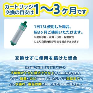 JF-31 カートリッジ 浄水器 JF-31-...の詳細画像3