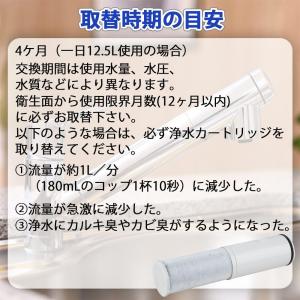 SFC0002T BSC05003 互換品 浄...の詳細画像5