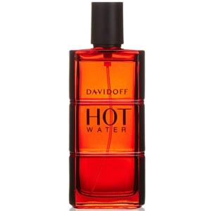 NAUTICA（ノーティカ） 並行輸入品 ヴォヤージュ EDT オードトワレ SP