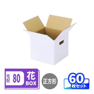 アースダンボール ネコポス ダンボール 段ボール箱 2.5センチ A5 定形