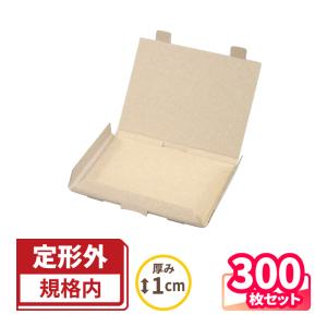 アースダンボール 定形郵便 ダンボール 段ボール箱 A6 はがきサイズ 20
