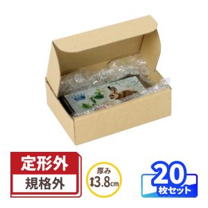 アースダンボール ダンボール 60サイズ B5 100枚 ｜270×200×100mm